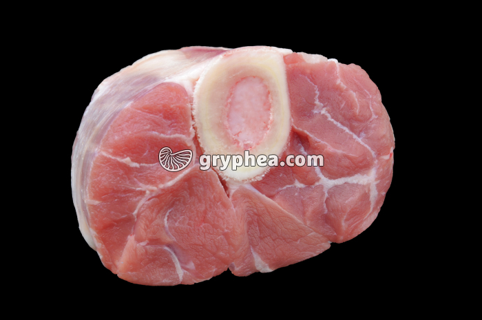 Membre en CT (Veau) - os, muscles, vaisseaux - gryphea.com